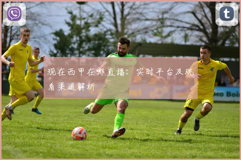 现在西甲在哪直播：实时平台及观看渠道解析