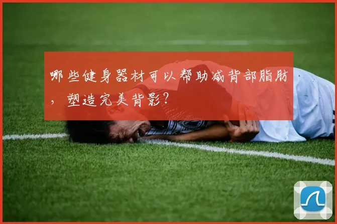 哪些健身器材可以帮助减背部脂肪,塑造完美背影?