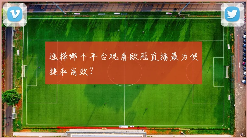 选择哪个平台观看欧冠直播最为便捷和高效？