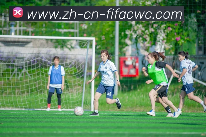 世界杯买球发展历程