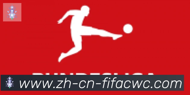 世界杯买球合作伙伴