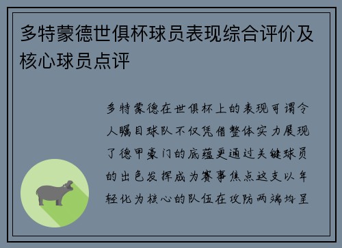 多特蒙德世俱杯球员表现综合评价及核心球员点评